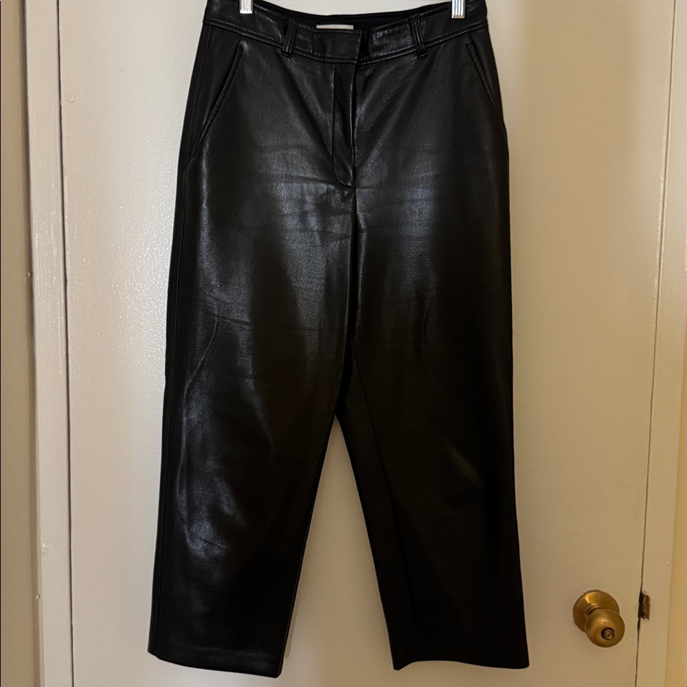 Aritzia Babaton Command Black Pants